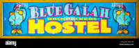 Blue galah backpackers hostel