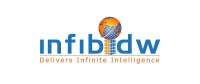 Infibidw it solutions and services
