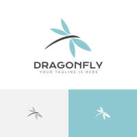 Dragonfly architecture
