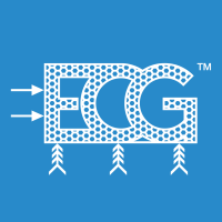 Ecg, inc.