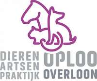 Dap moergestel