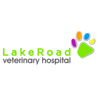 Lake road veterinary clinic