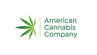 The cannabiz consultant