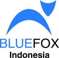 Bluefox international