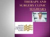 Beauty therapy and surgery clinic  sugihara