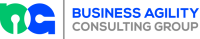 Agility consulting group