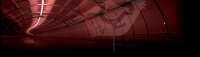 Cpa international investigations inc.