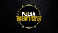 Pulsa brasil networks