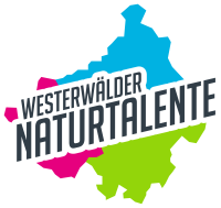 Niveau fenster westerburg gmbh