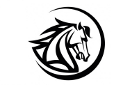 Stallion Motors