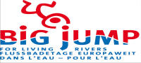Big jump media, inc. (d.b.a. tangle.com)