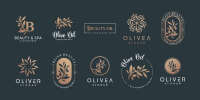 Aromatic essentials