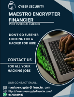 MAESTRO ENCRYPTER FINANCIER