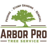 Arbor pro tree care
