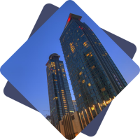 Al faisal international for investment (afii)