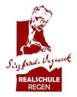 Realschule regen