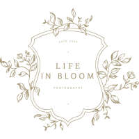 Life in bloom photography
