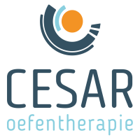 Praktijk oefenth. cesar wieggers & de jongste