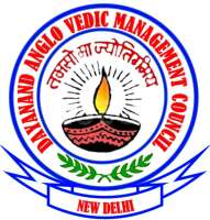 Dav management ltd