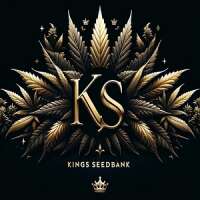 Kings Seedbank