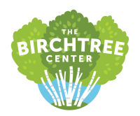 The birchtree center for healthcare transformation