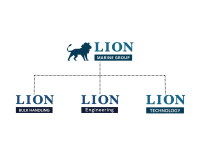 Lion bulk handling