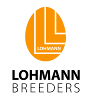 Lohmann medien gmbh