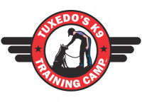 Tuxedo's K9 Training Camp