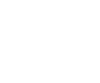 Thrive web design bendigo