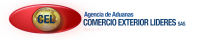 Agencia de aduanas comercio exterior lideres