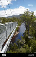 Tahune airwalk