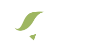 Jetways airlines ltd