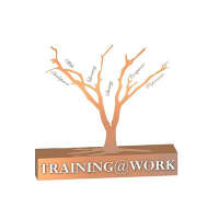 Training for work pty ltd