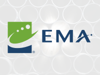 Ema consulting and bpo services, inc.