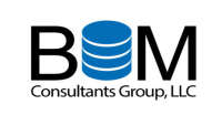 Bim consulting