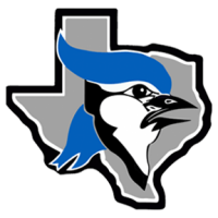 Needvilleisd