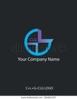 Clg associates llc