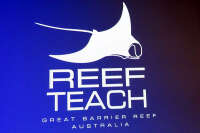 Reef teach