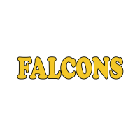 Brownsville area school dist