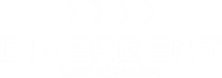 Divergent detailing, llc