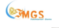 FMGS Rocks LLC