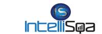 Intellisqa it solutions pvt. ltd