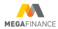 Megafinance