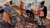 Umsizi sustainable social solutions