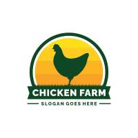Chicken's chicots production