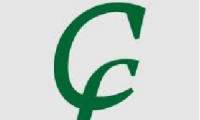 Cf consulting & solutions srl