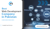 Software & web developer best seo company in pakistan