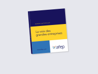 Afep - french association of large companies / association française des entreprises privées