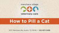 Manchaca village veterinary care