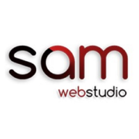 Sam web studio- a web and application development firm delhi, india